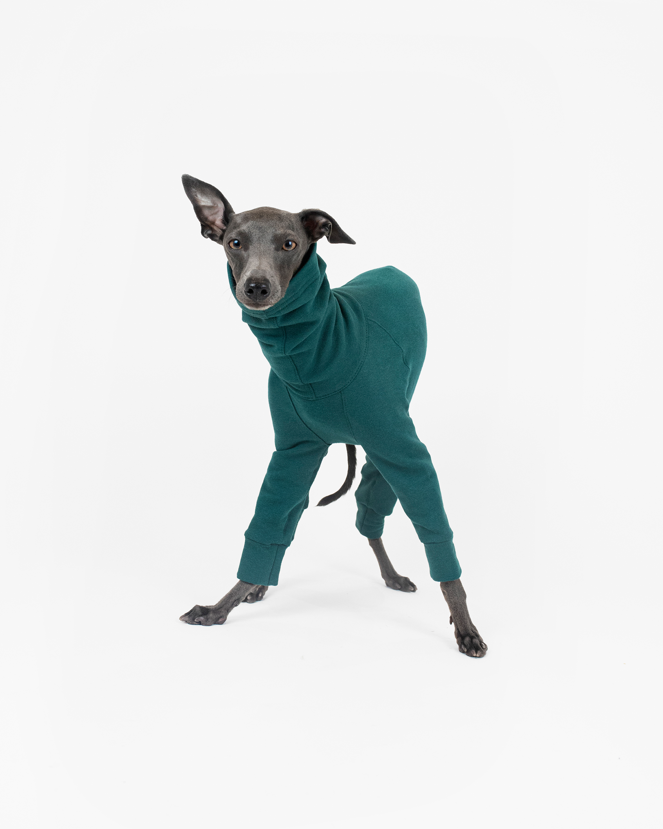 Green Ocean_Regular Jumpsuit 768x960-9