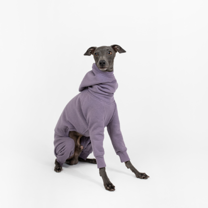 iggy sitting and posing in studio dressed in purple outfit