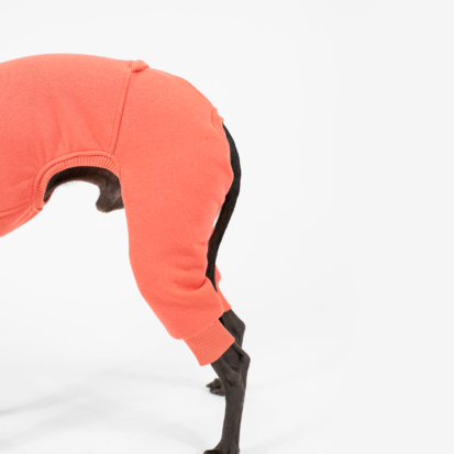 the back part of shark onesie on color of deep coral