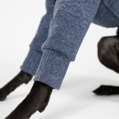 dog jumper sleeve detail