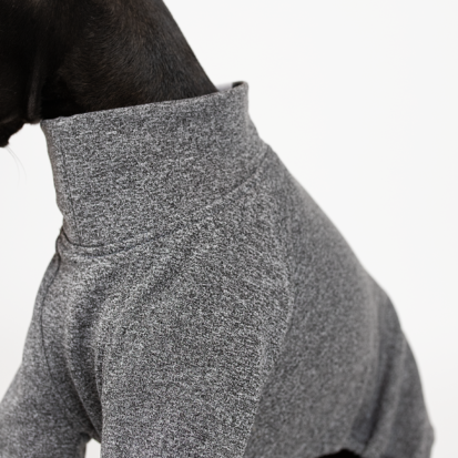 Detail of the dog jumper