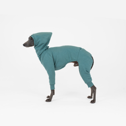 Italian Greyhound posing by side and demonstrating his cute shark hoodie in color of deep water