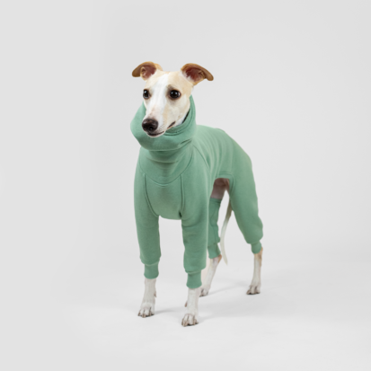whippet posing in studio dressed in warm and cozy green jumpsuit of dumas goods