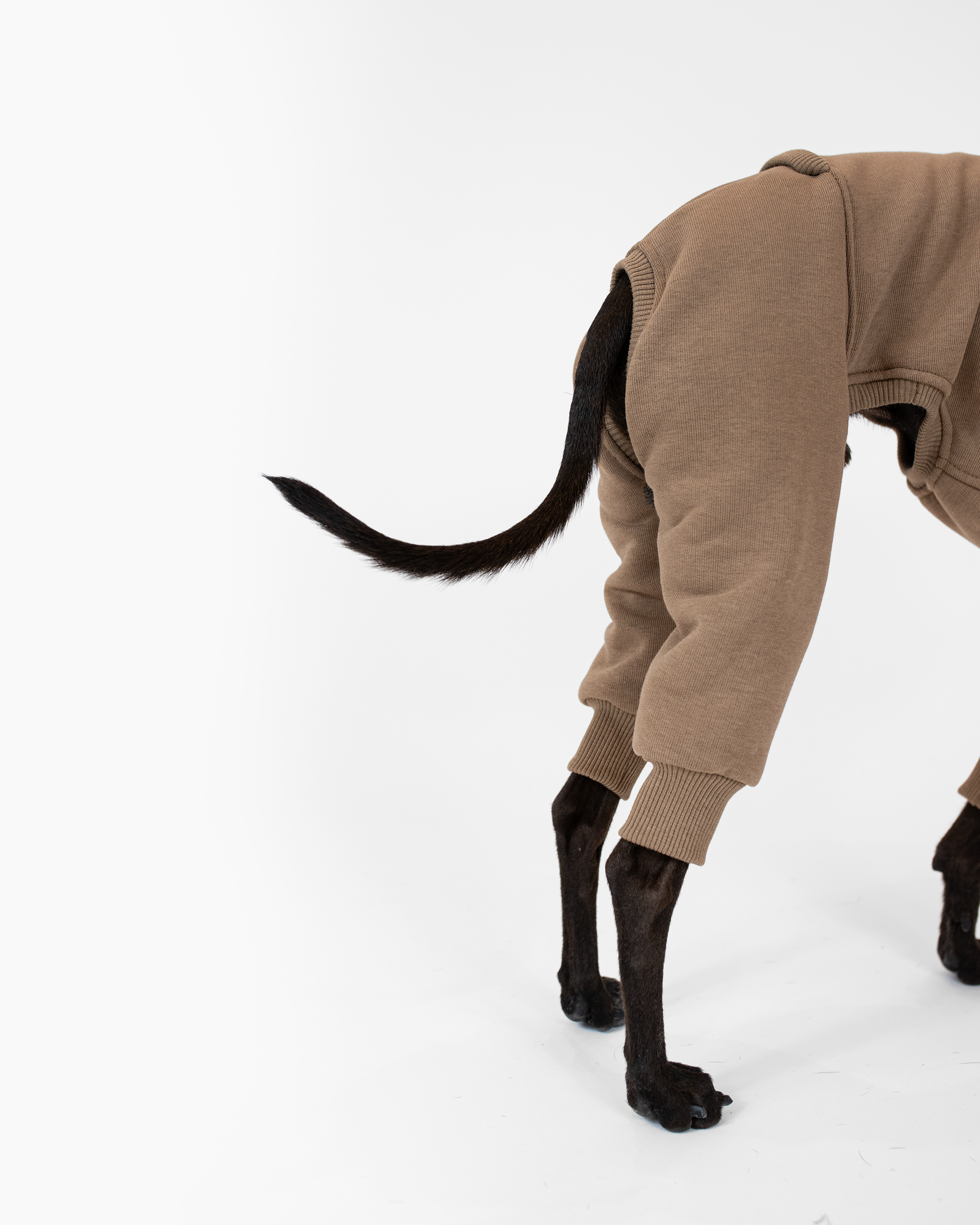 DumasGoods-iggy-clothing-back-part-cafe the detail of back part of the jumpsuit