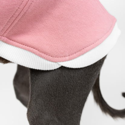 A back part detail of Italian greyhound warm vest.