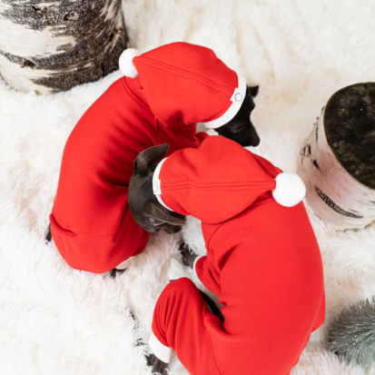 dogs dressed in red jumpsuits