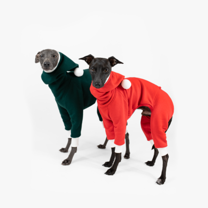 Two italian greyhounds dressed in red and green santa jumpsuits