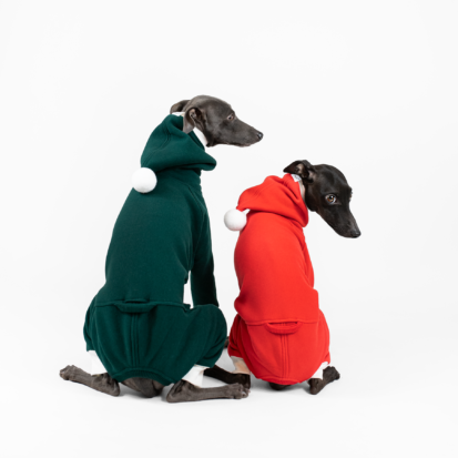 red and green jumpsuits on italian greyhounds