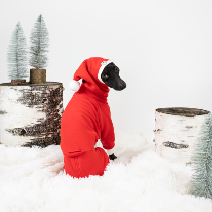 Two Italian Greyhounds in red santa jumpsuits