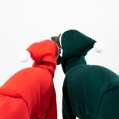 two festive dog hoods