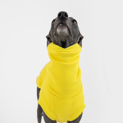 The neck part detail of Italian greyhound cozy waistcoat