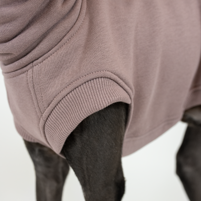 dog clothing detail