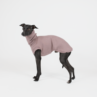 Black Italian Greyhound dressed in twilight mauve cozy waistcoat