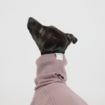 neck part of italian greyhound clothing