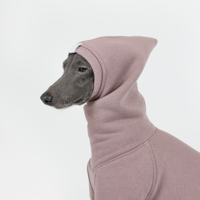 a detailed hood photo oh italian greyhound clothing