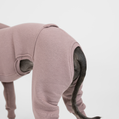 close up of back part dog clothing