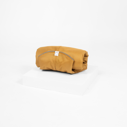 Ginger Winter Coat Cover image