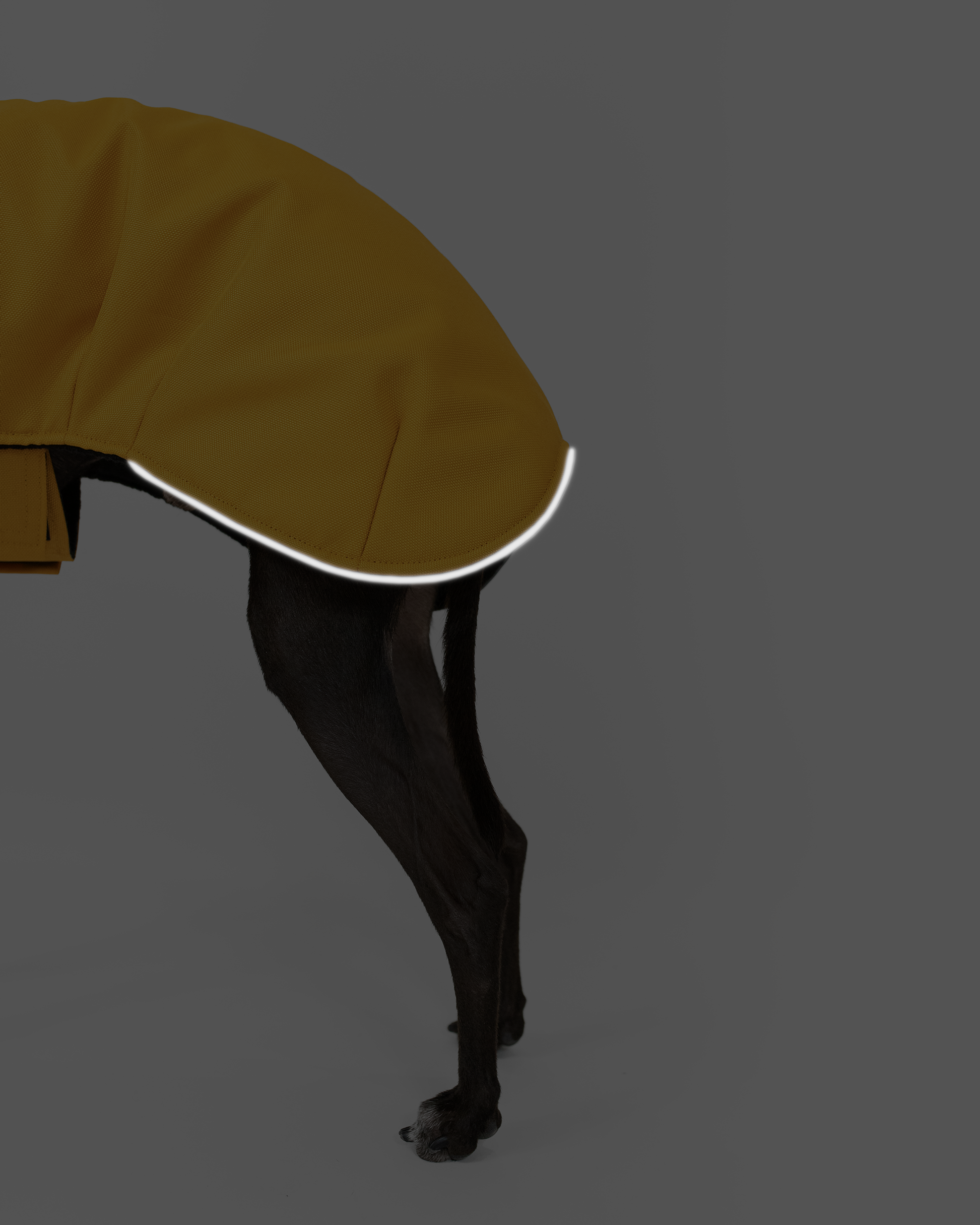 DumasGoods-italian-greyhound-coat-back-reflect reflect detail on back part of winter coat