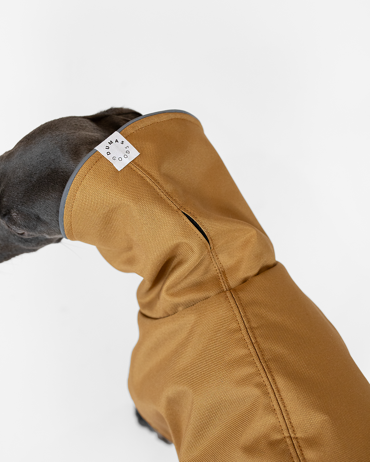 DumasGoods-italian-greyhound-clothing-warm-winter-coat-neck-opening details of dumasgoods ginger winter coat