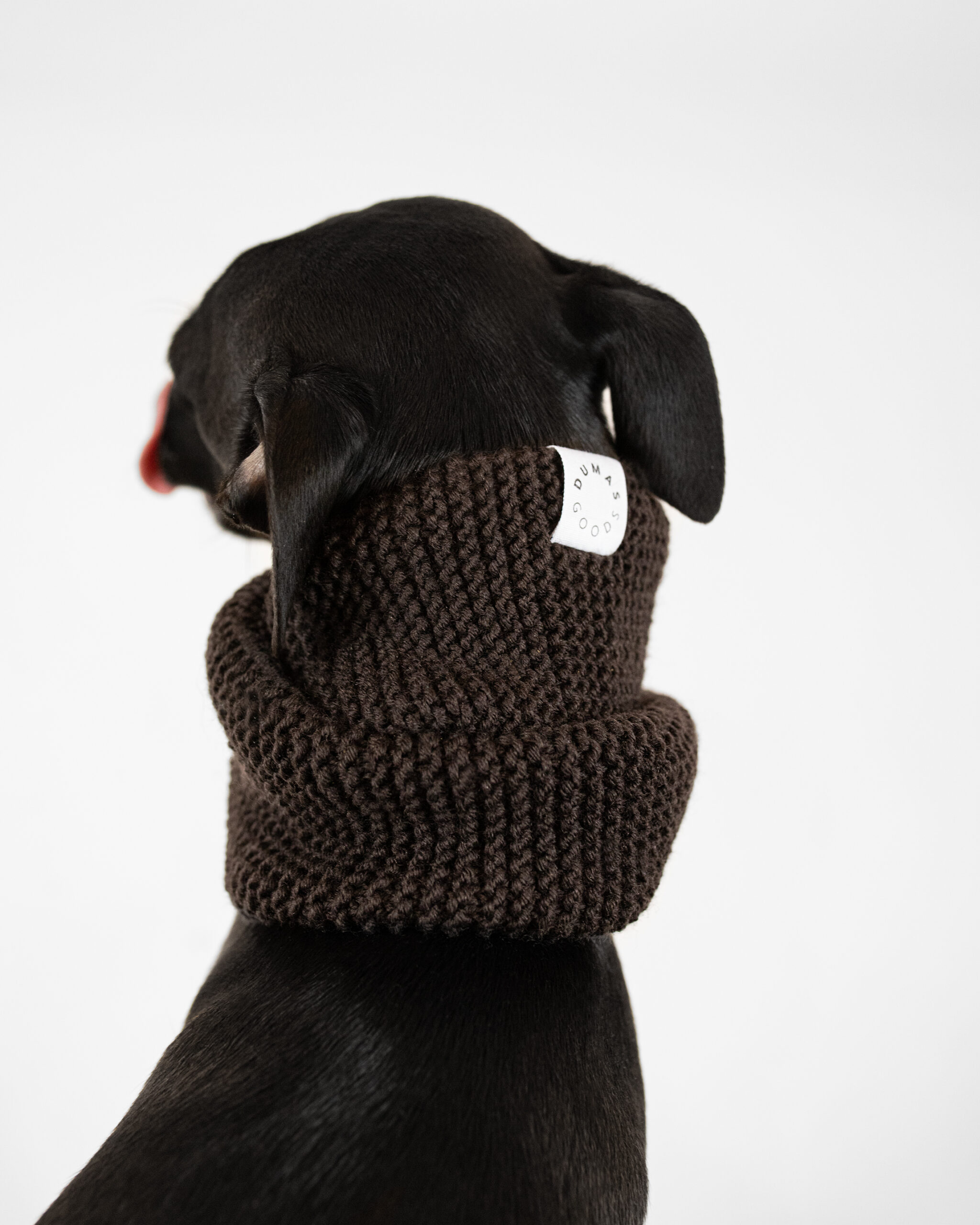 DumasGoods-italian-greyhound-snood-brown-accessory A close up of DumasGoods knitted snood color brown