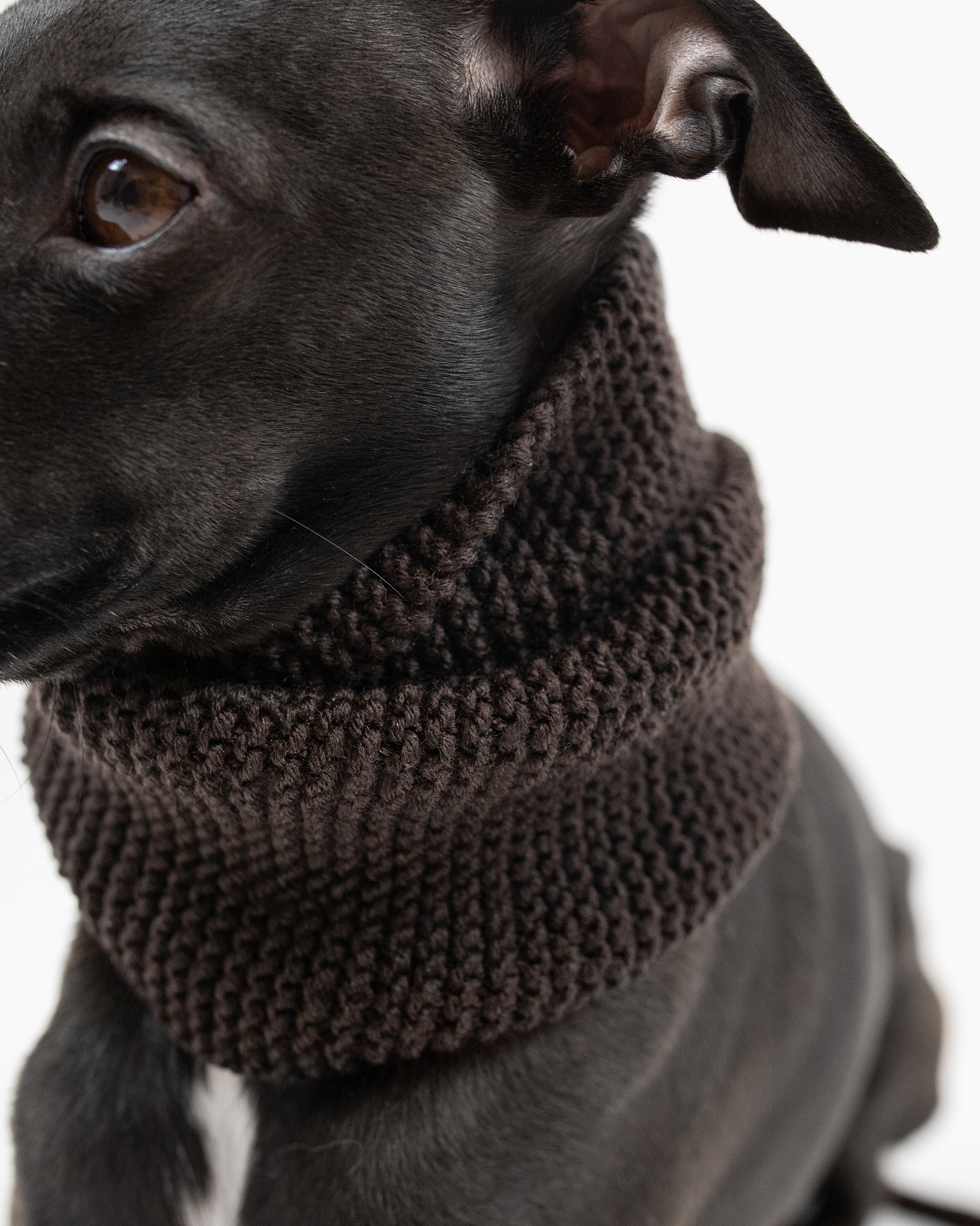 DumasGoods-italian-greyhound-snood-brown-neckwear a close up of beautifully knitted dark brown snood