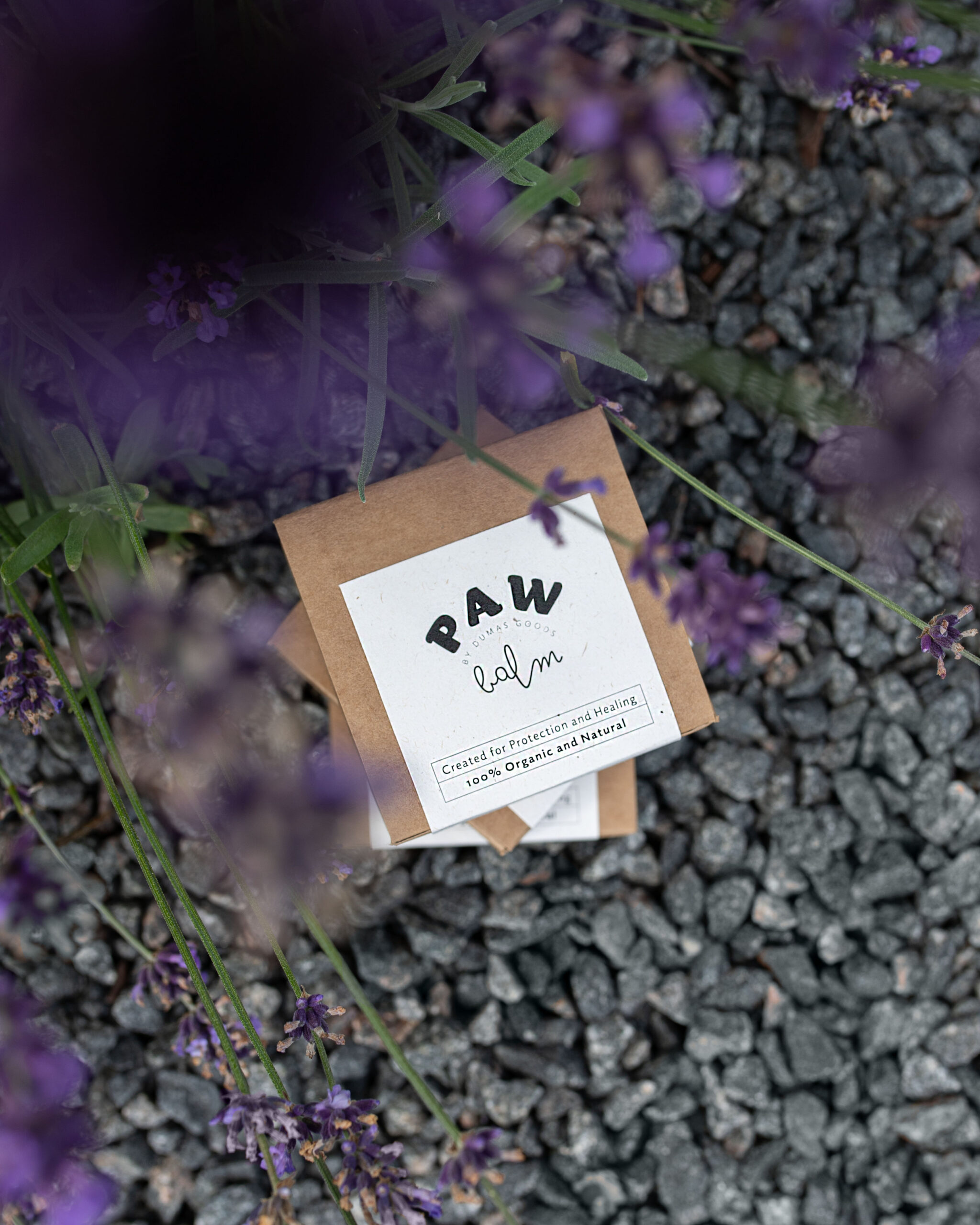 DumasGoods-dog-paw-balm-cream-travel-care Natural Paw Balm for pets in Lavender surrounding