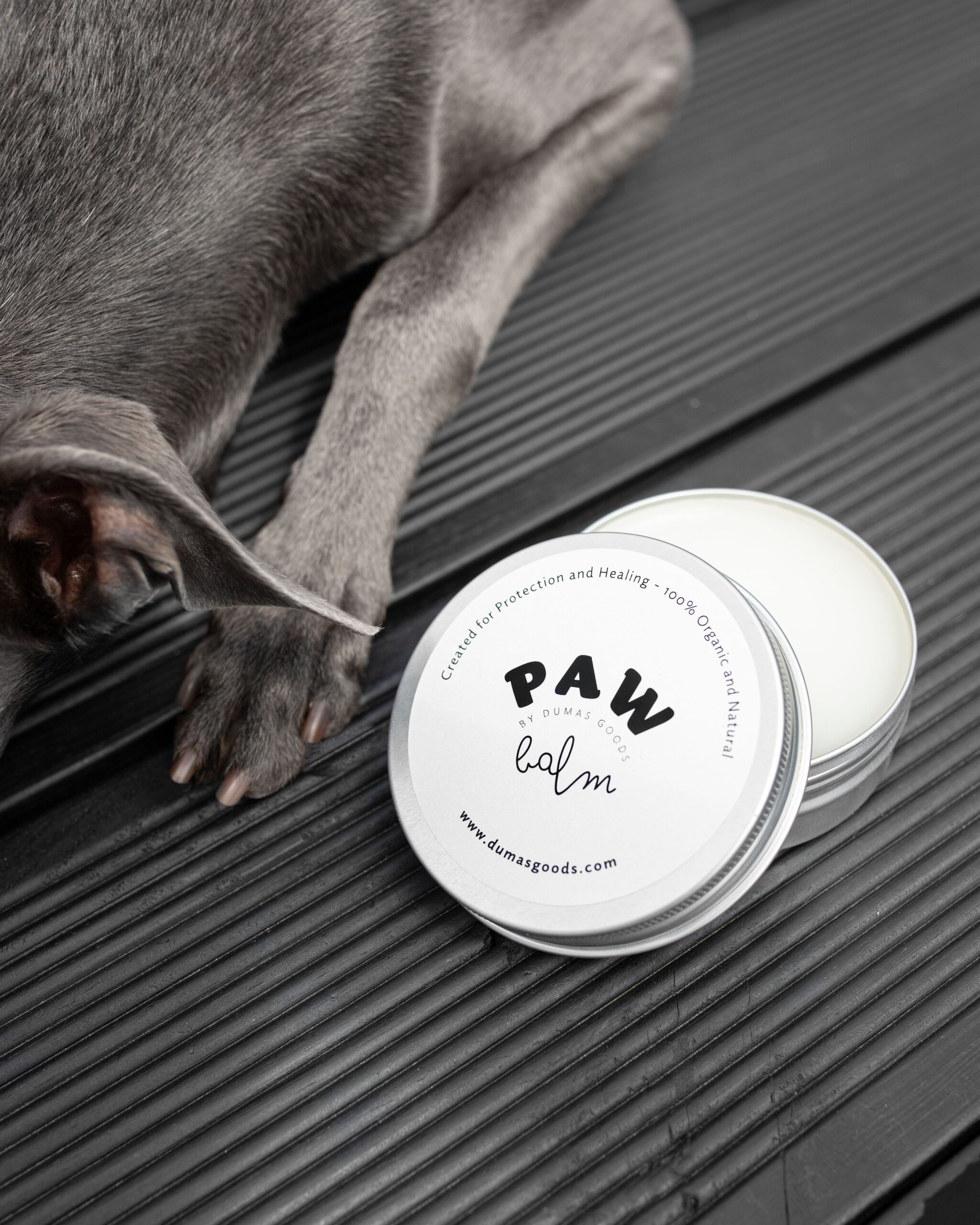 DumasGoods-dog-paw-nose-balm-cream-travel-care Italian Greyhound breed dog's paw and paw balm nearby