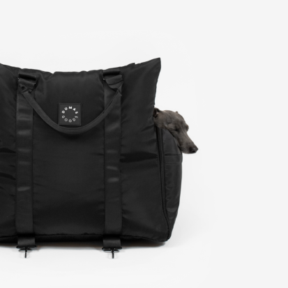 An Italian greyhound sitting comfortably in luxurious black travel seat of DumasGoods