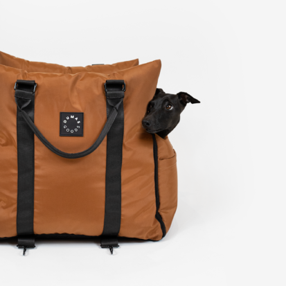 An Italian greyhound sitting comfortably in luxurious cinnamon travel seat of DumasGoods