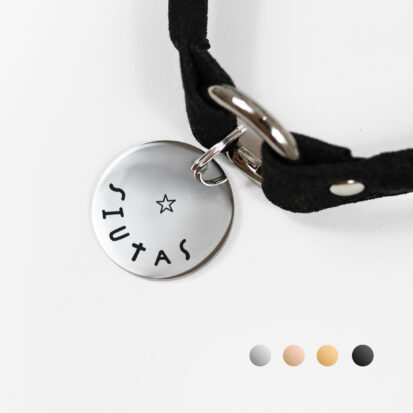 simple shiny engraved pendant with house collar and star icon on in