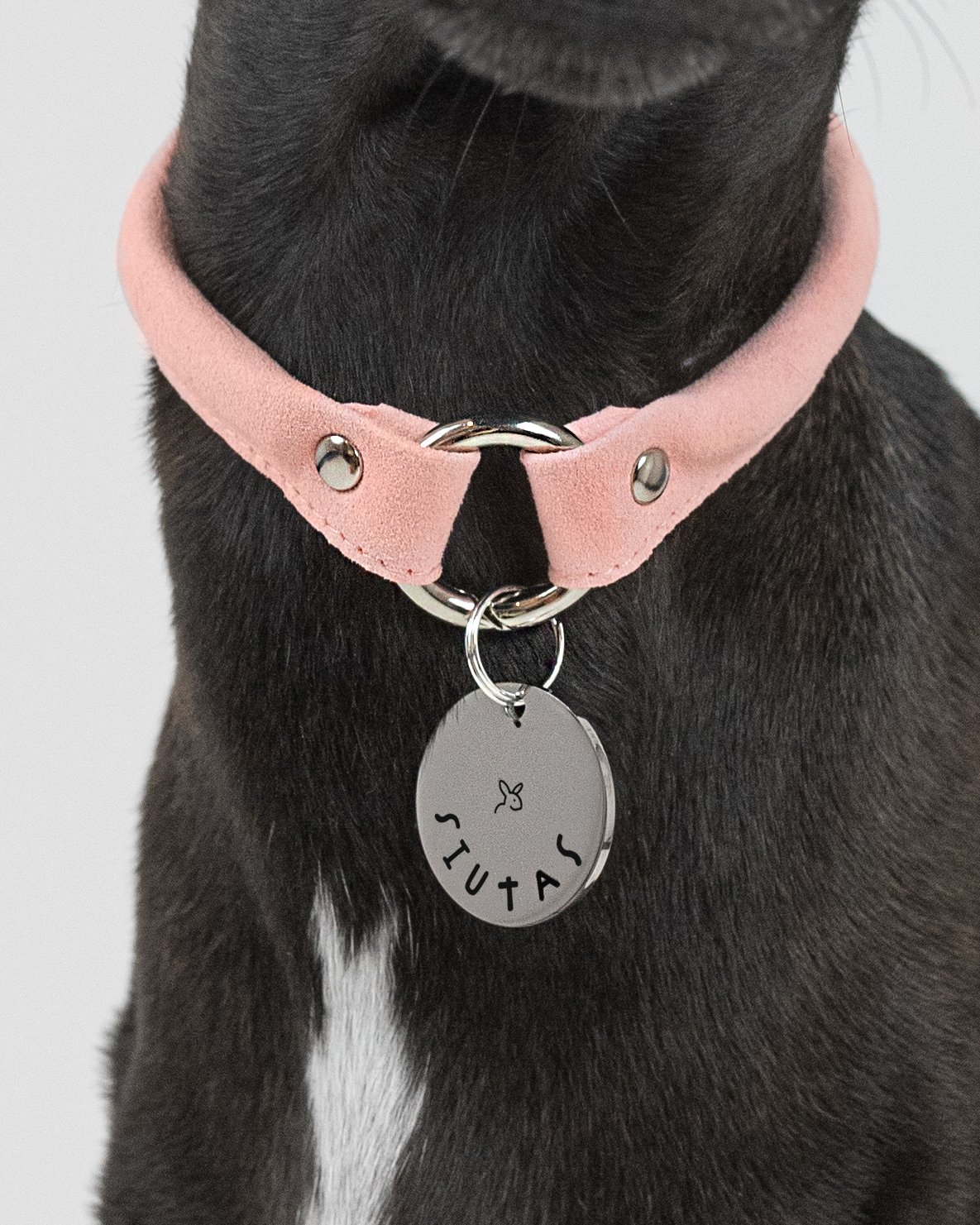 DumasGoods-gold-Engraved-pendant-bunny-house-collar Silver Personal Pendant with bunny icon hanging on pink House Collar of DumasGoods