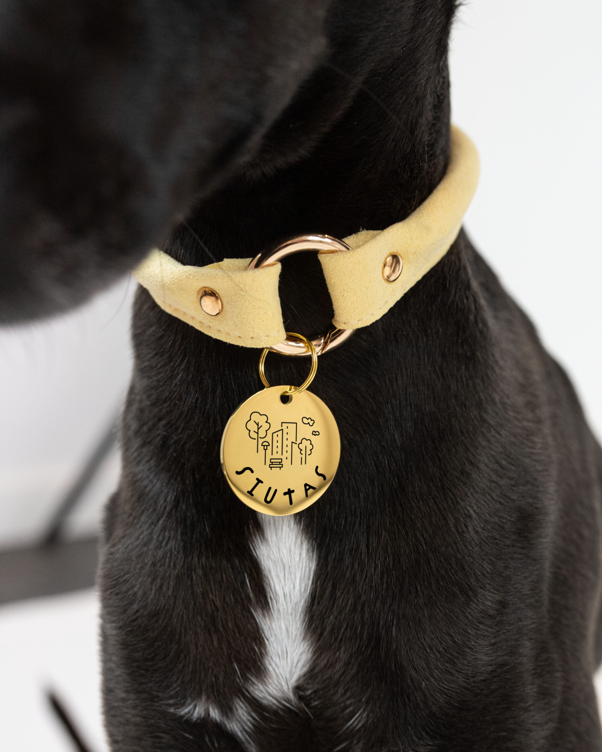 DumasGoods-gold-Engraved-pendant-city-house-collar Gold Personal Pendant with city Design hanging on yellow House Collar of DumasGoods