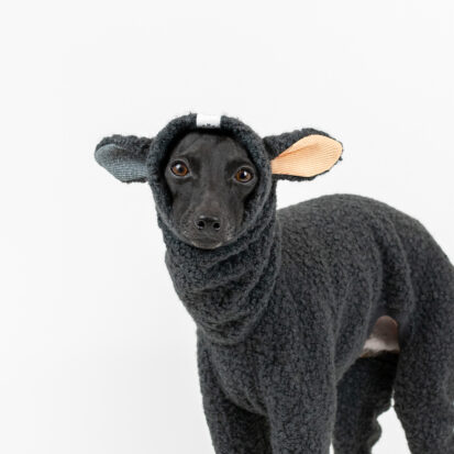 Boucle Onesie Stormy Curl Lambkin Ears