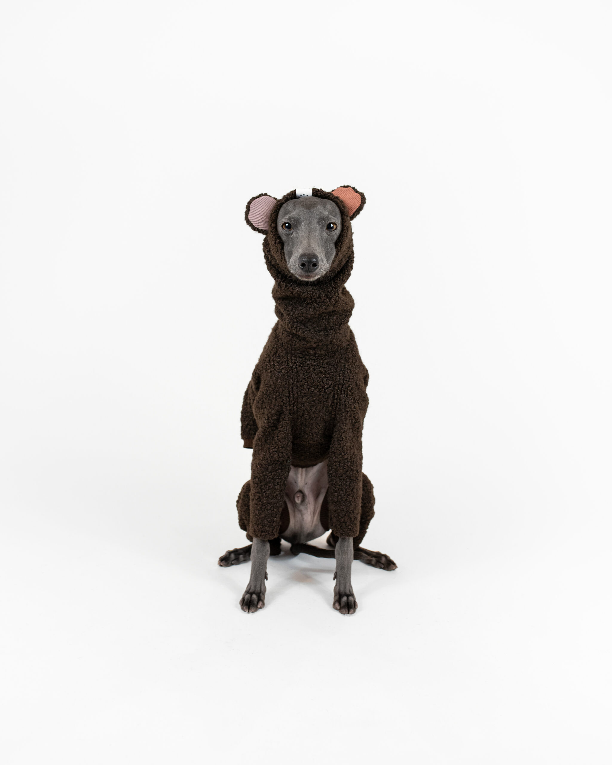 DumasGoods-Boucle-Woodland-Bark-Teddy-ears Italian greyhound dressed in cute woodland bark teddy boucle onesie