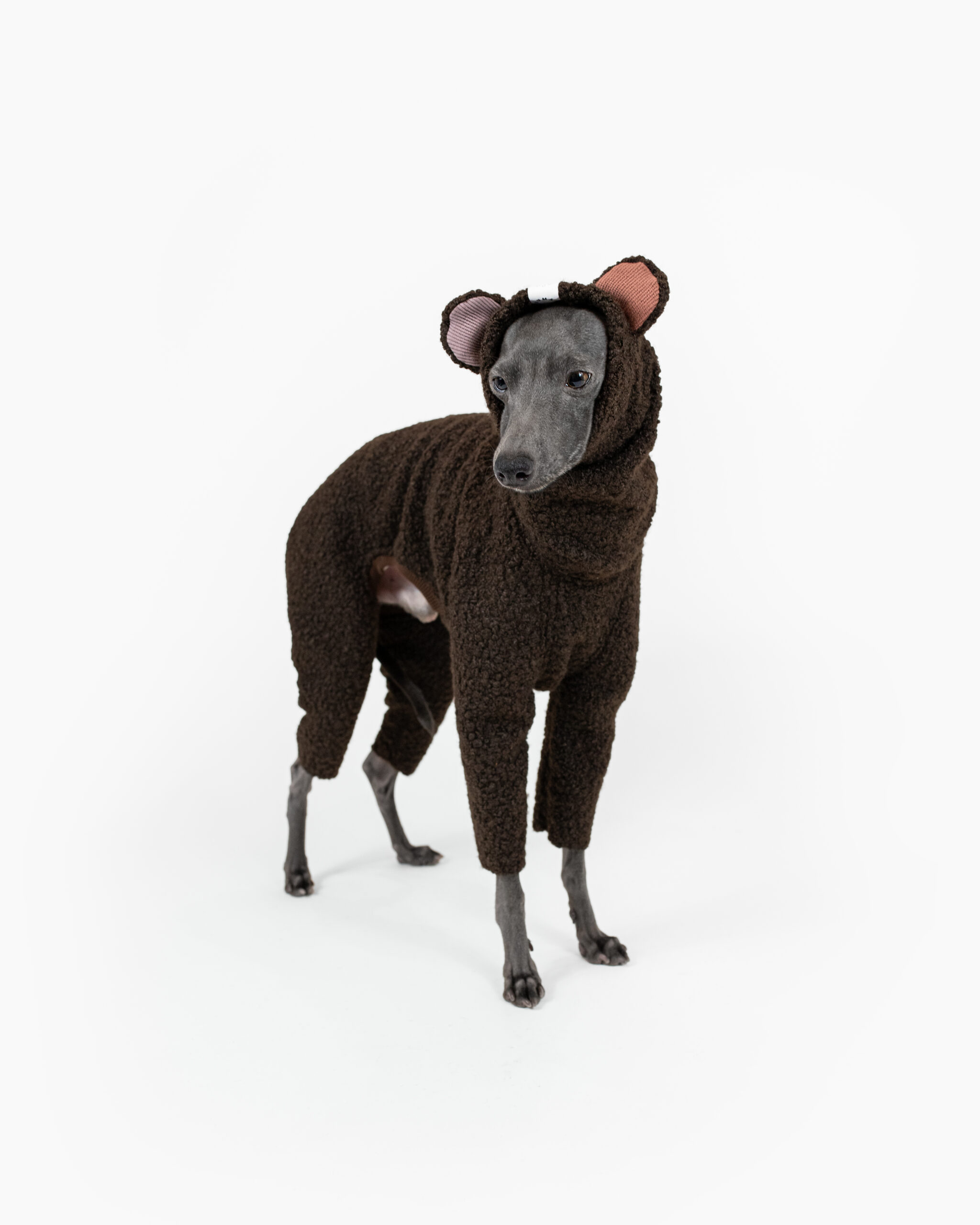DumasGoods-Boucle-italian-greyhound-clothes-woodland-bark-Teddy-brown Italian greyhound dressed in cute brown teddy boucle onesie