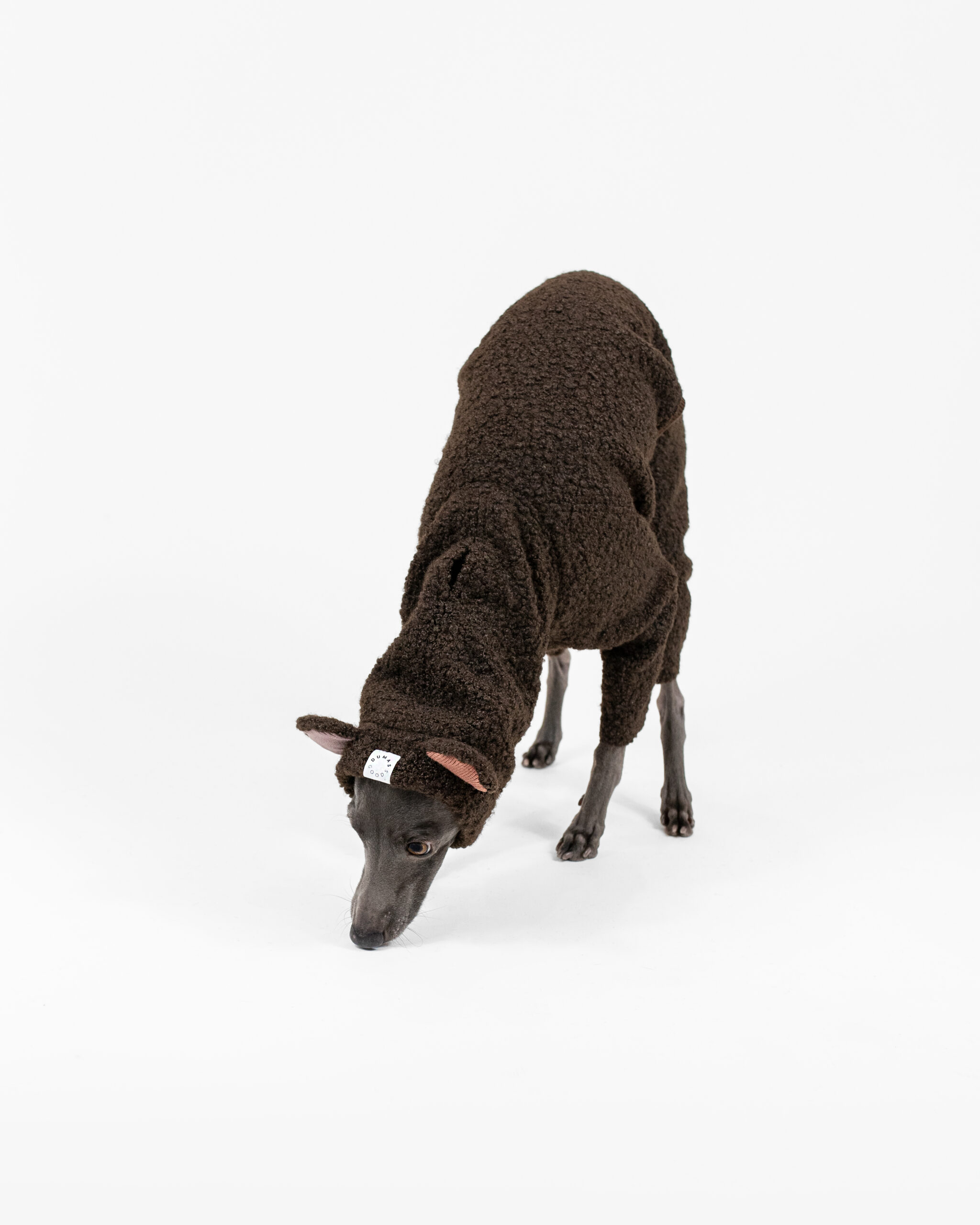 DumasGoods-Boucle-italian-greyhound-clothing-woodland-bark-Teddy-brown Italian greyhound dressed in cute brown teddy boucle onesie