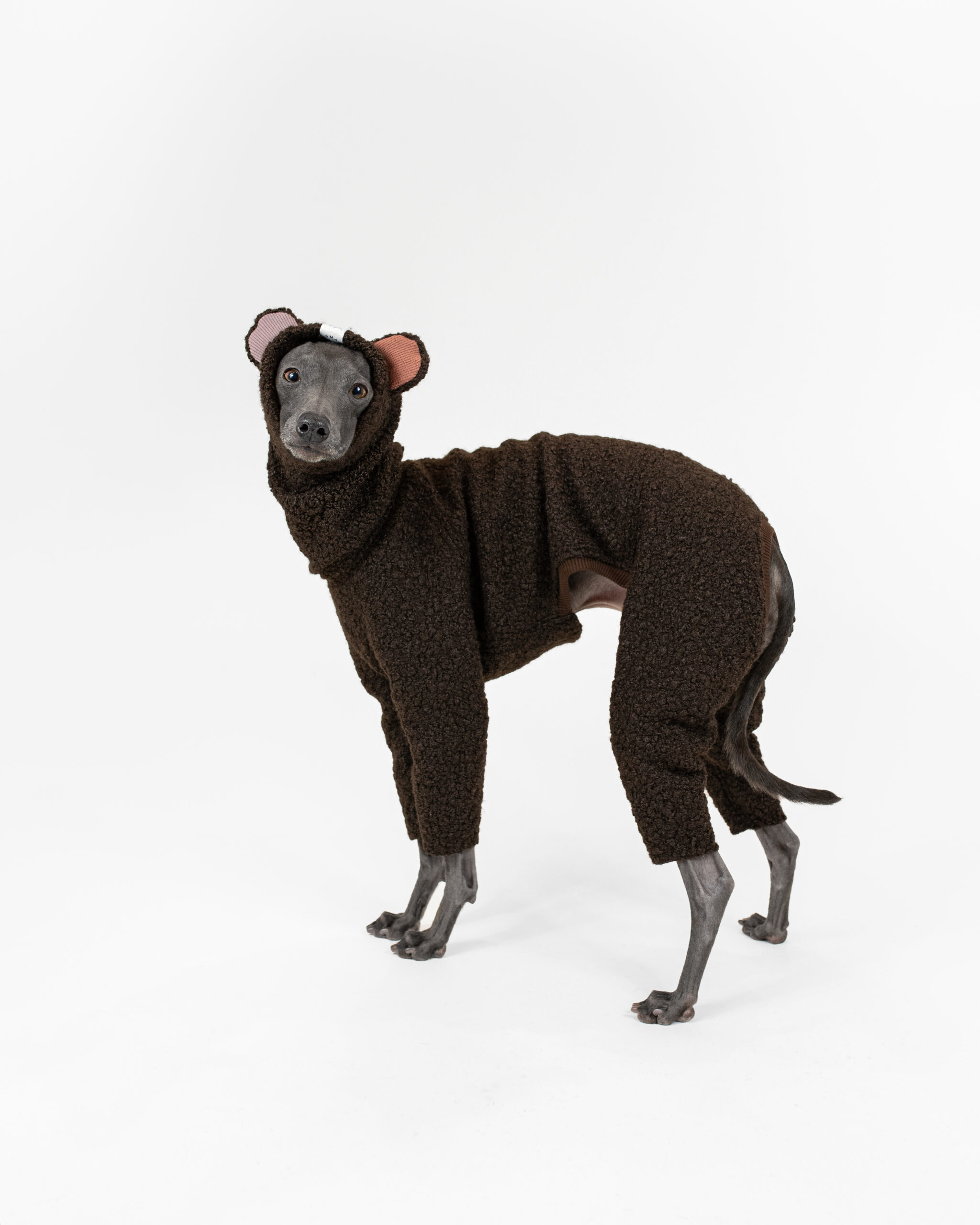 DumasGoods-Boucle-woodland-bark-Teddy-brown Italian greyhound dressed in cute brown teddy boucle onesie