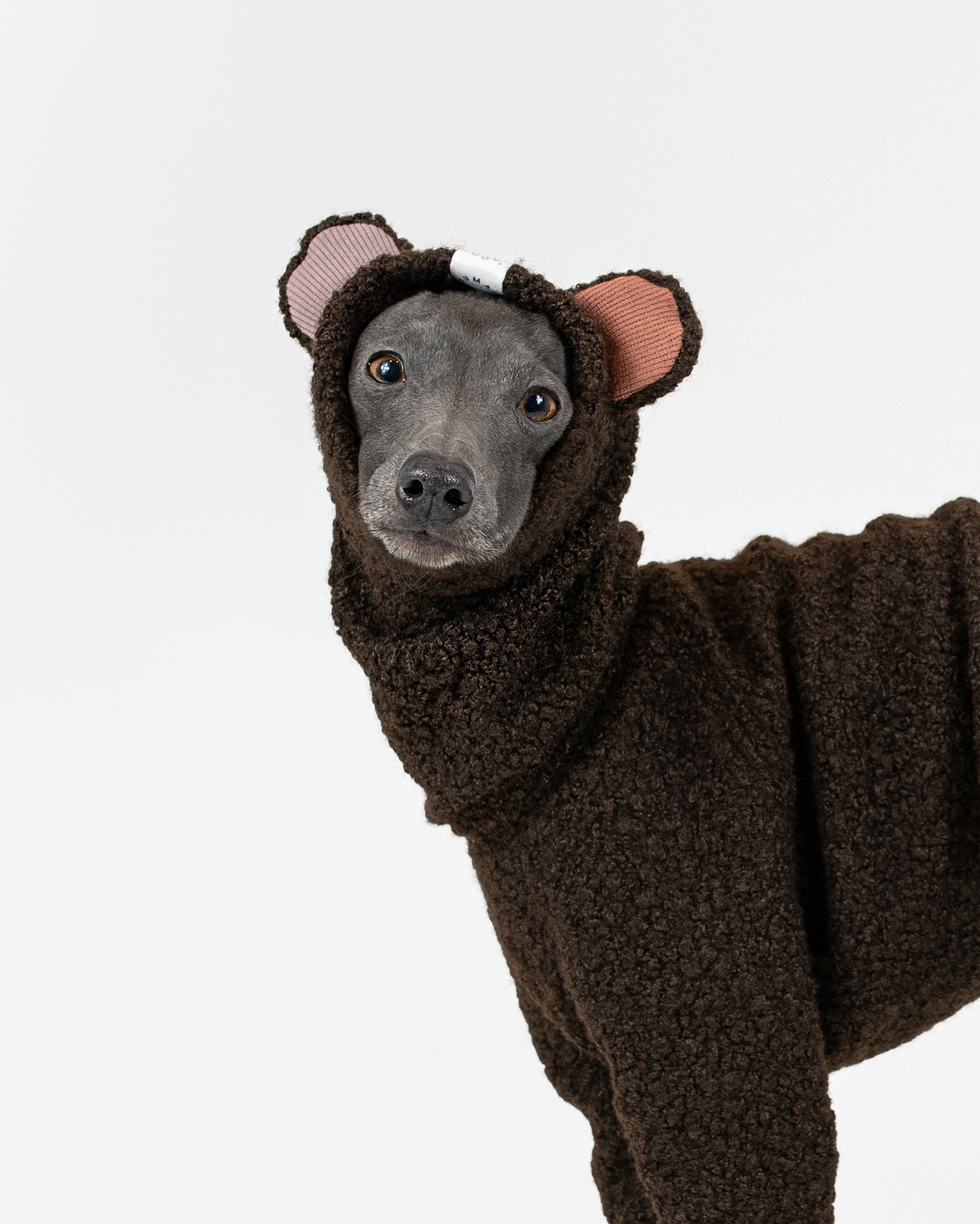 DumasGoods-Boucle-woodland-bark-Teddy-portrait Boucle Onesie woodland bark Teddy Ears