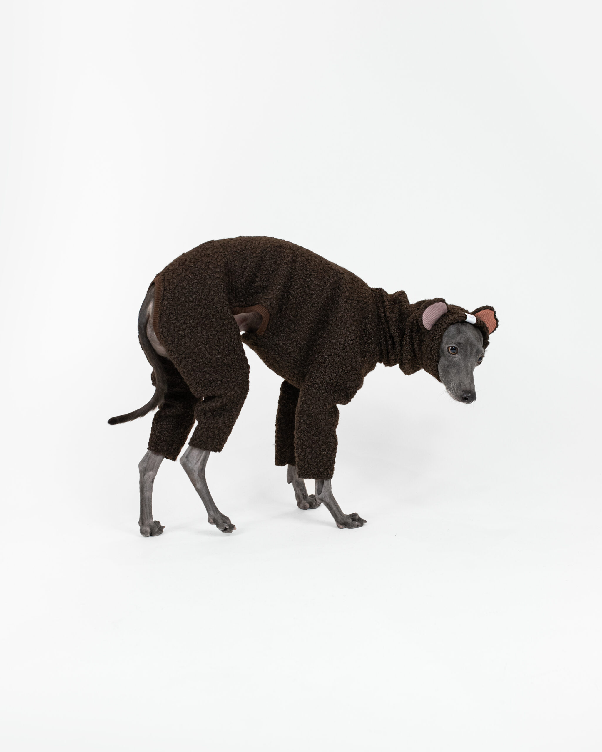 DumasGoods-best-italian-greyhound-clothes-woodland-bark-Teddy-brown Italian greyhound dressed in cute brown teddy boucle onesie in action