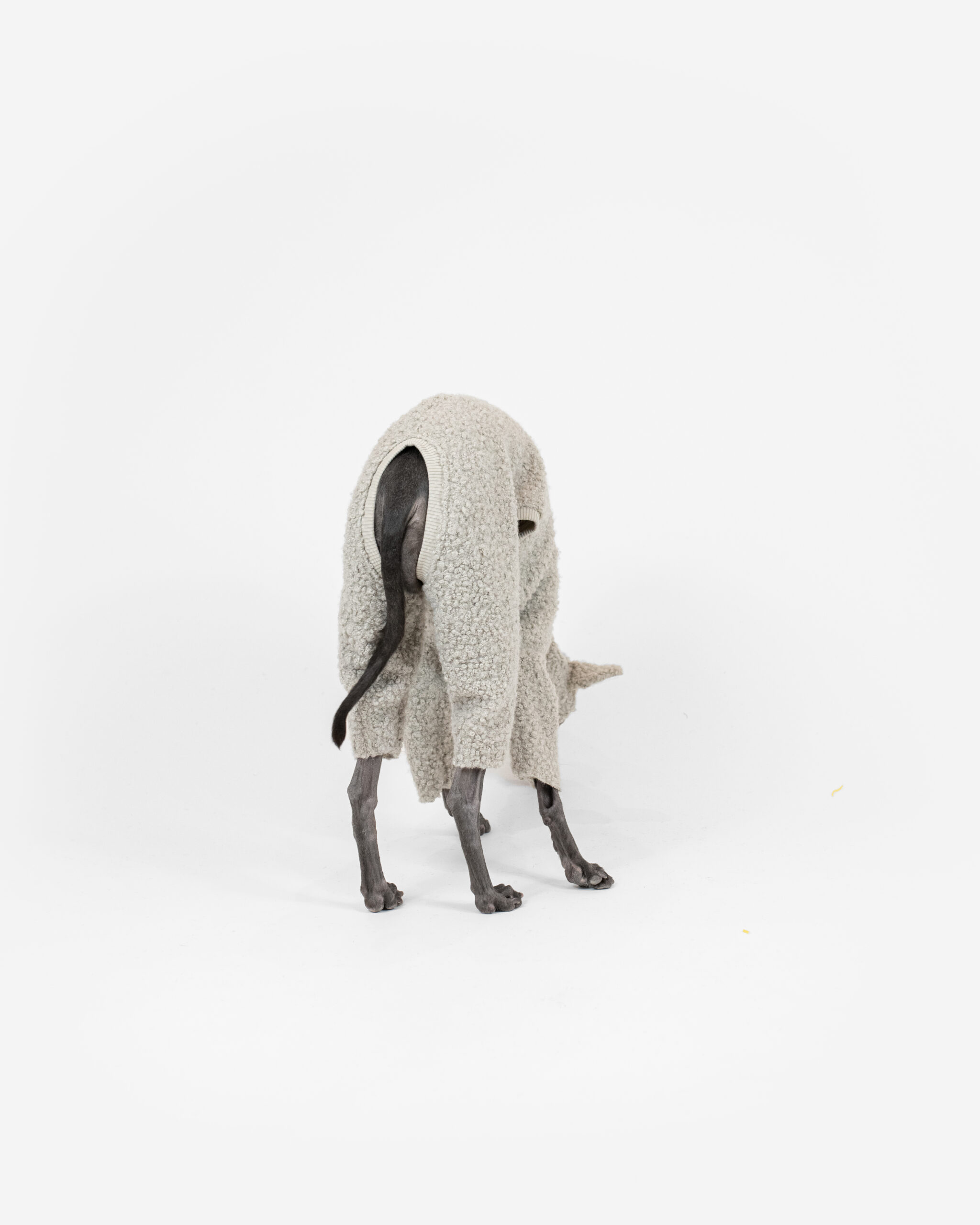 DumasGoods-italian-greyhound-clothing-boucle-mist-lamb detail of boucle onesie rolling mist