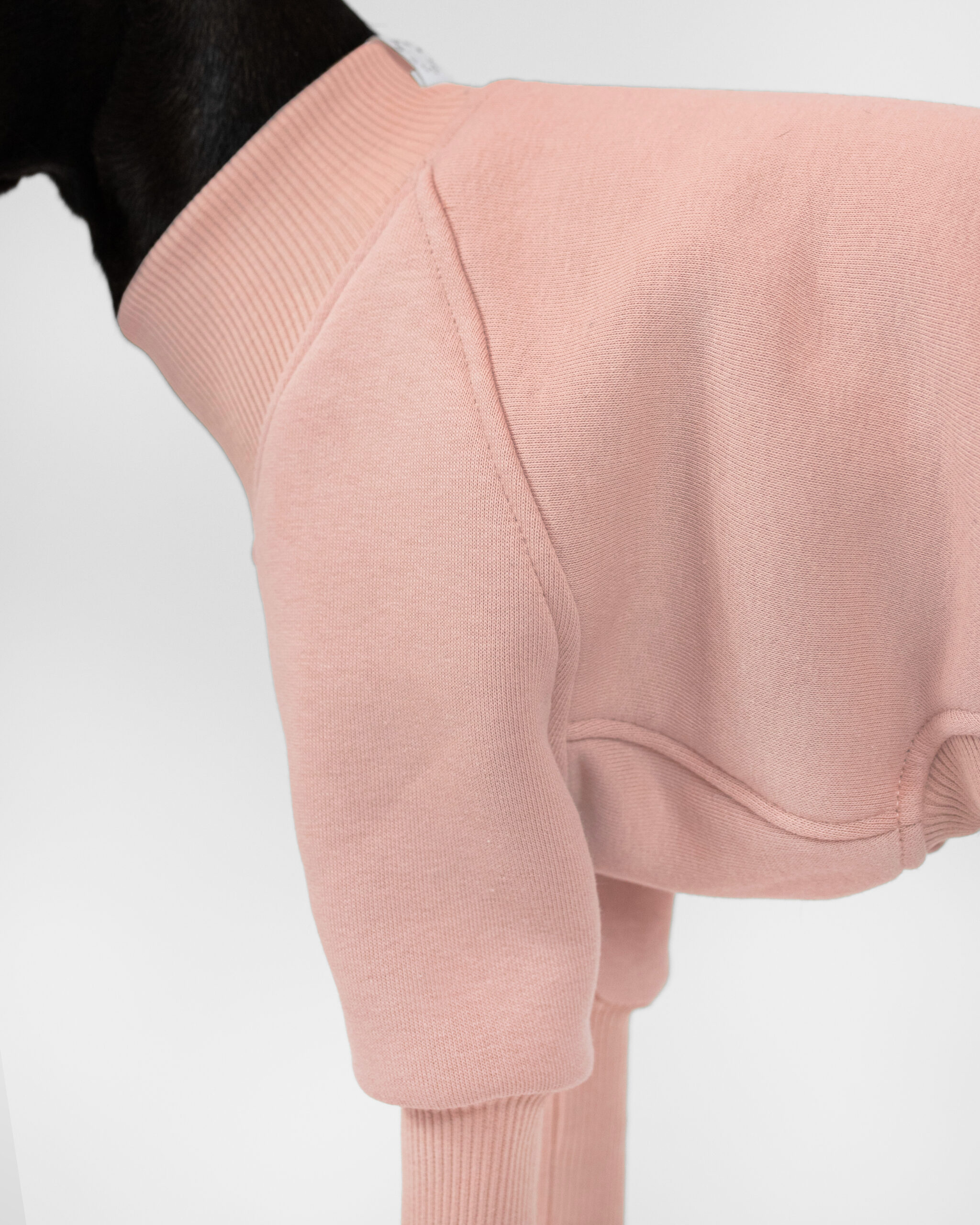DumasGoods-Soft-Core-Jumper-Pale-coral-detail-italian-greyhound-clothes close up of soft core jumper shoulder area in color pale coral