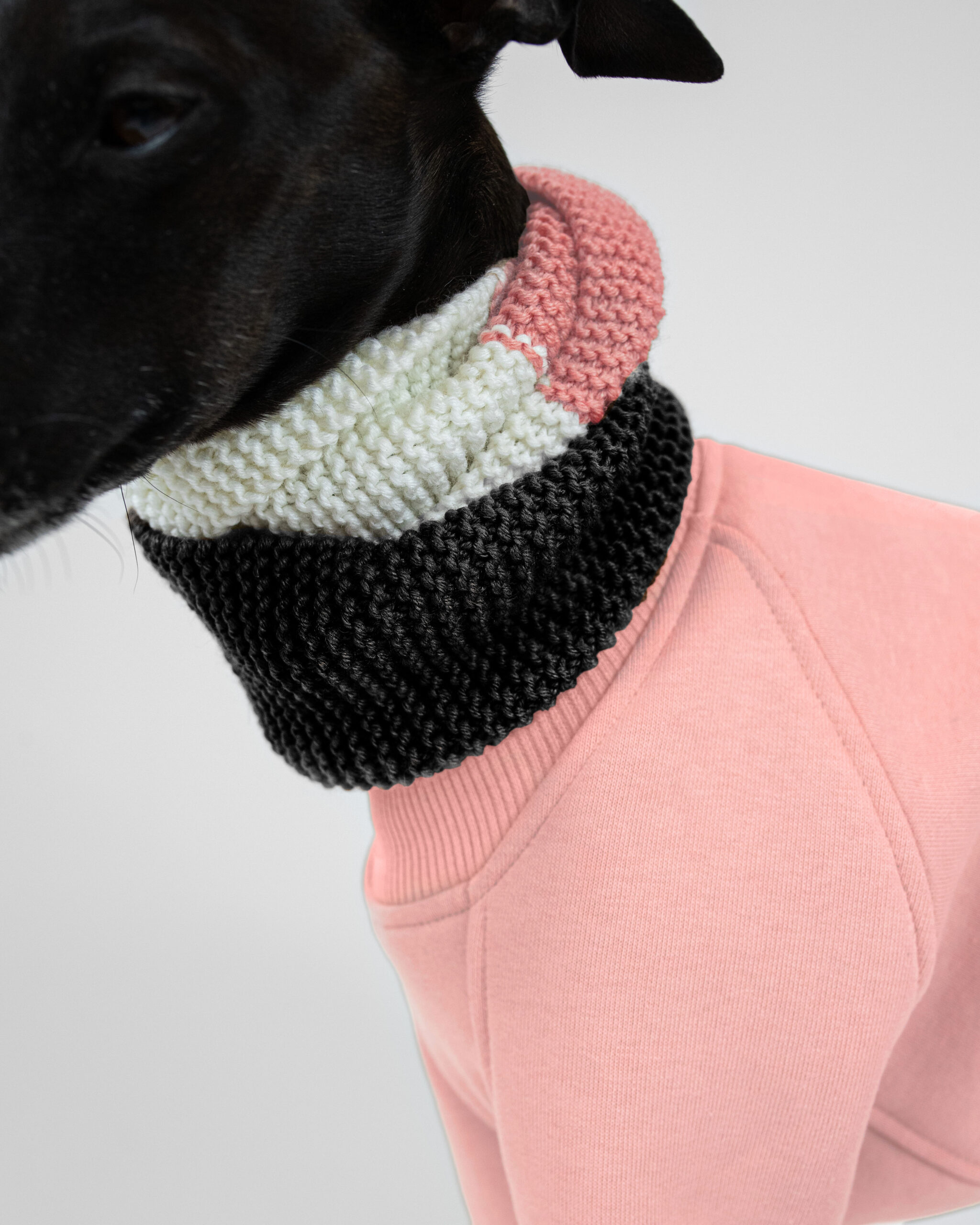 DumasGoods-Soft-Core-Jumper-Pale-coral-detail-italian-greyhound-clothing-snood close up of soft core jumper neck area with knitted snood in pink shades