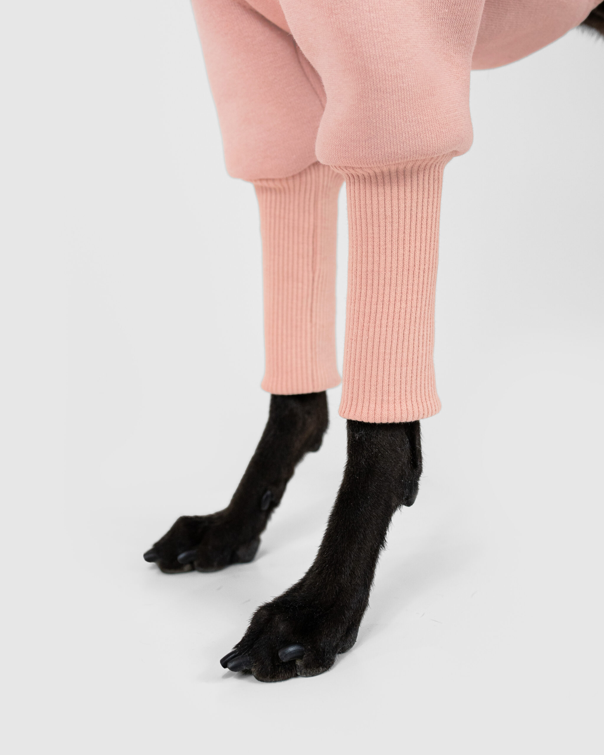 DumasGoods-Soft-Core-Jumper-Pale-coral-italian-greyhound-clothes- a close up of pale coral jumper sleeves