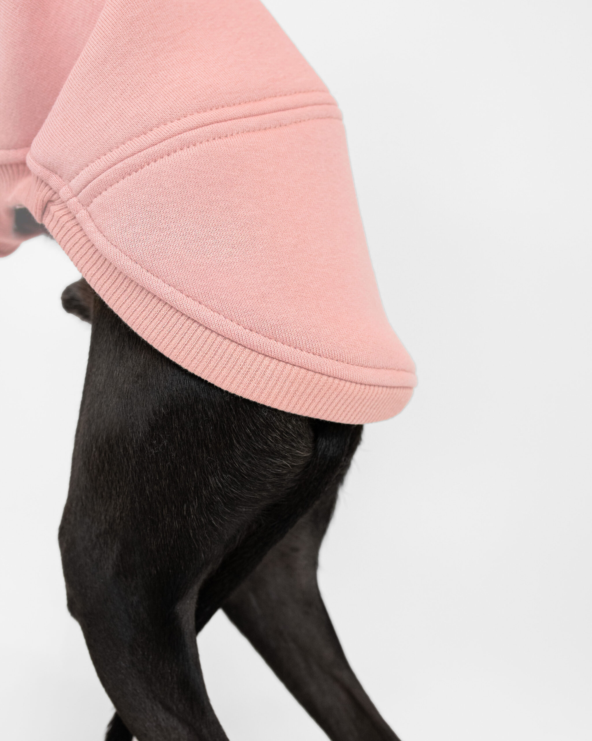 DumasGoods-Soft-Core-Jumper-Pale-coral-italian-greyhound-clothes back part of pale coral jumper