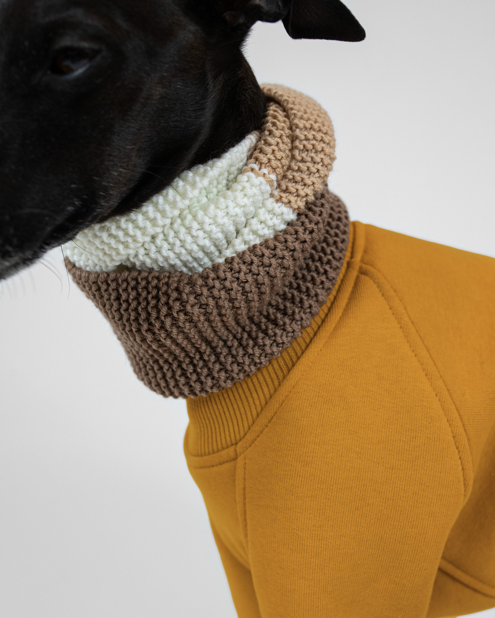 DumasGoods-Soft-Core-Jumper-amber-detail-italian-greyhound-clothing-snood close up of soft core jumper neck area with knitted snood in brown shades