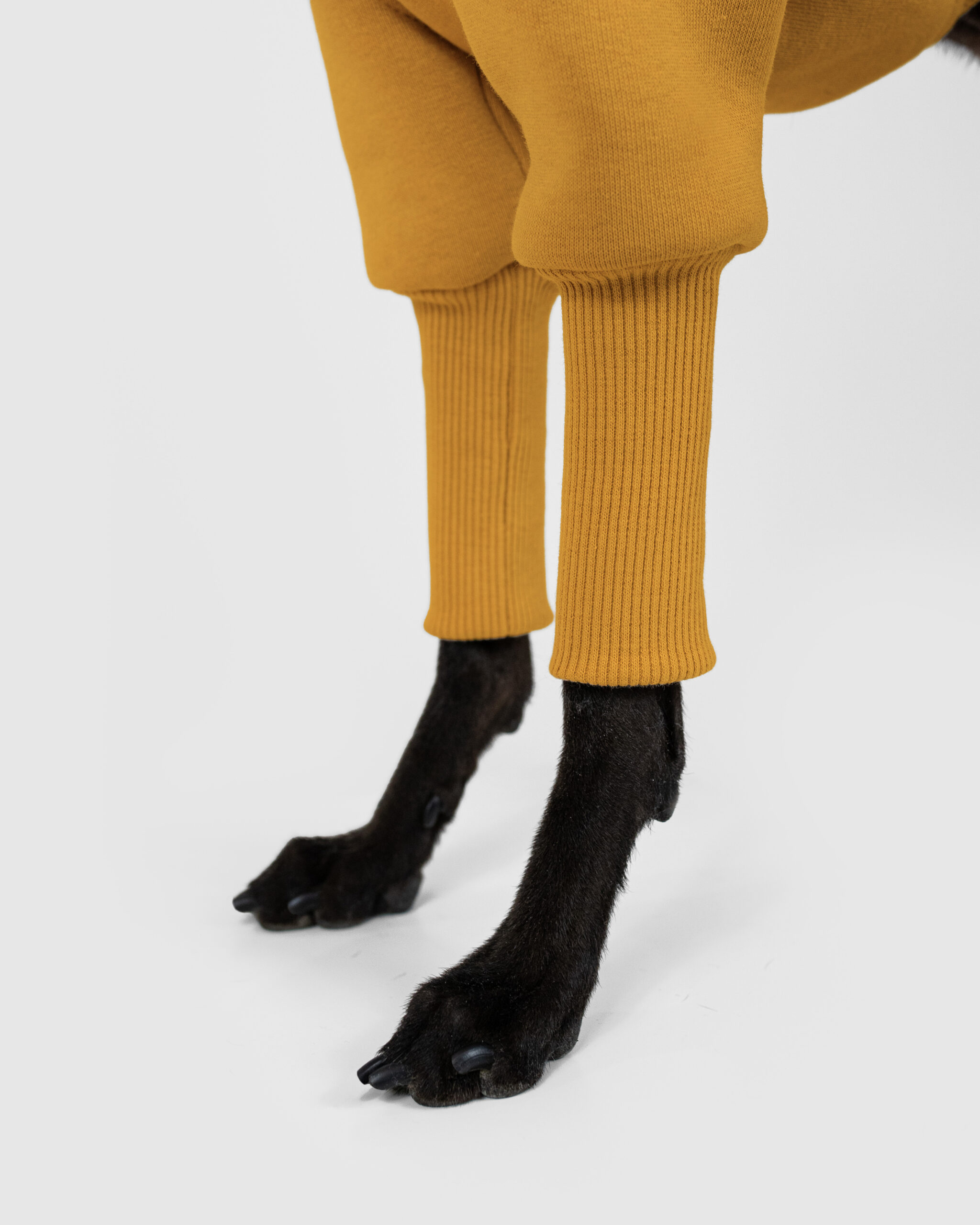 DumasGoods-Soft-Core-Jumper-amber-italian-greyhound-clothes- a close up of amber jumper sleeves
