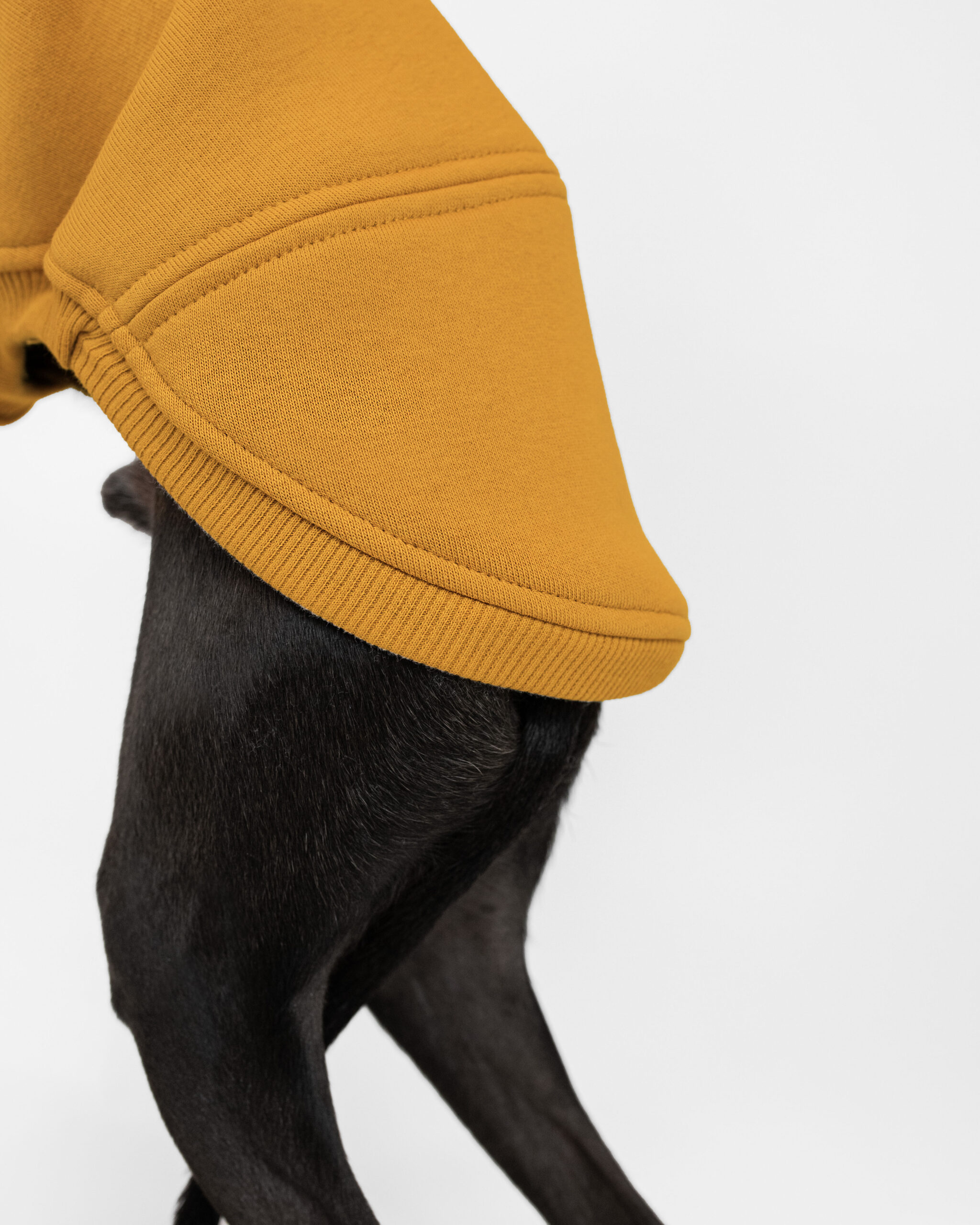 DumasGoods-Soft-Core-Jumper-italian-greyhound-clothing-amber back part of amber jumper