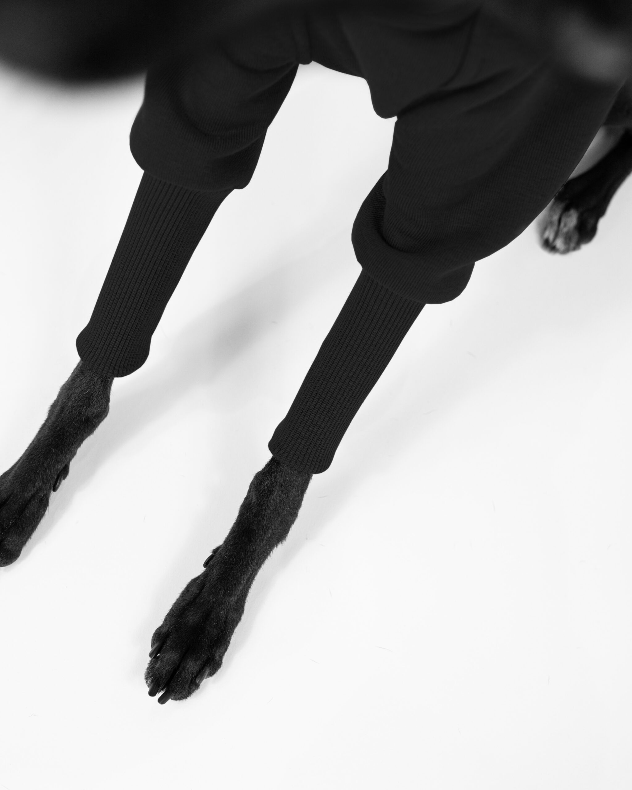 DumasGoods-italian-greyhound-clothes-core-jumper-black a close up of black jumper sleeves