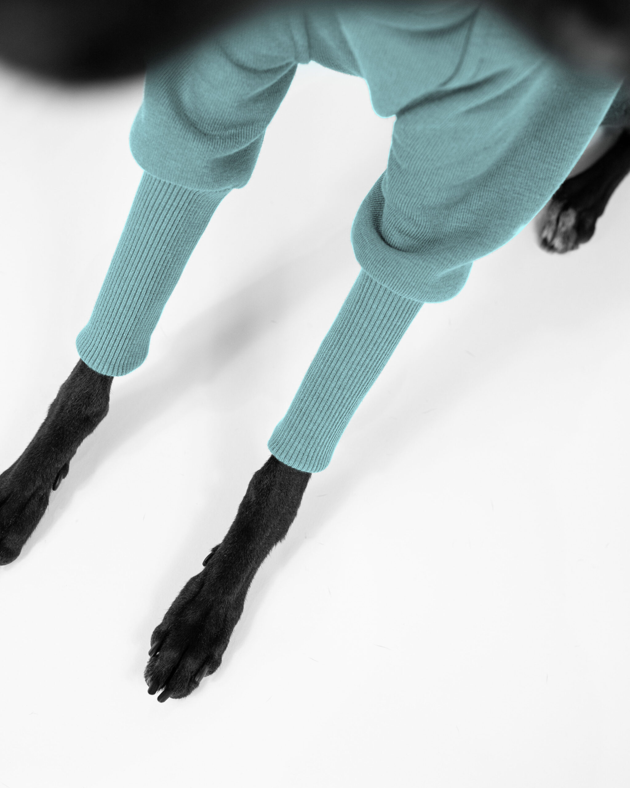 DumasGoods-italian-greyhound-clothes-core-jumper-iceberg a close up of iceberg jumper sleeves