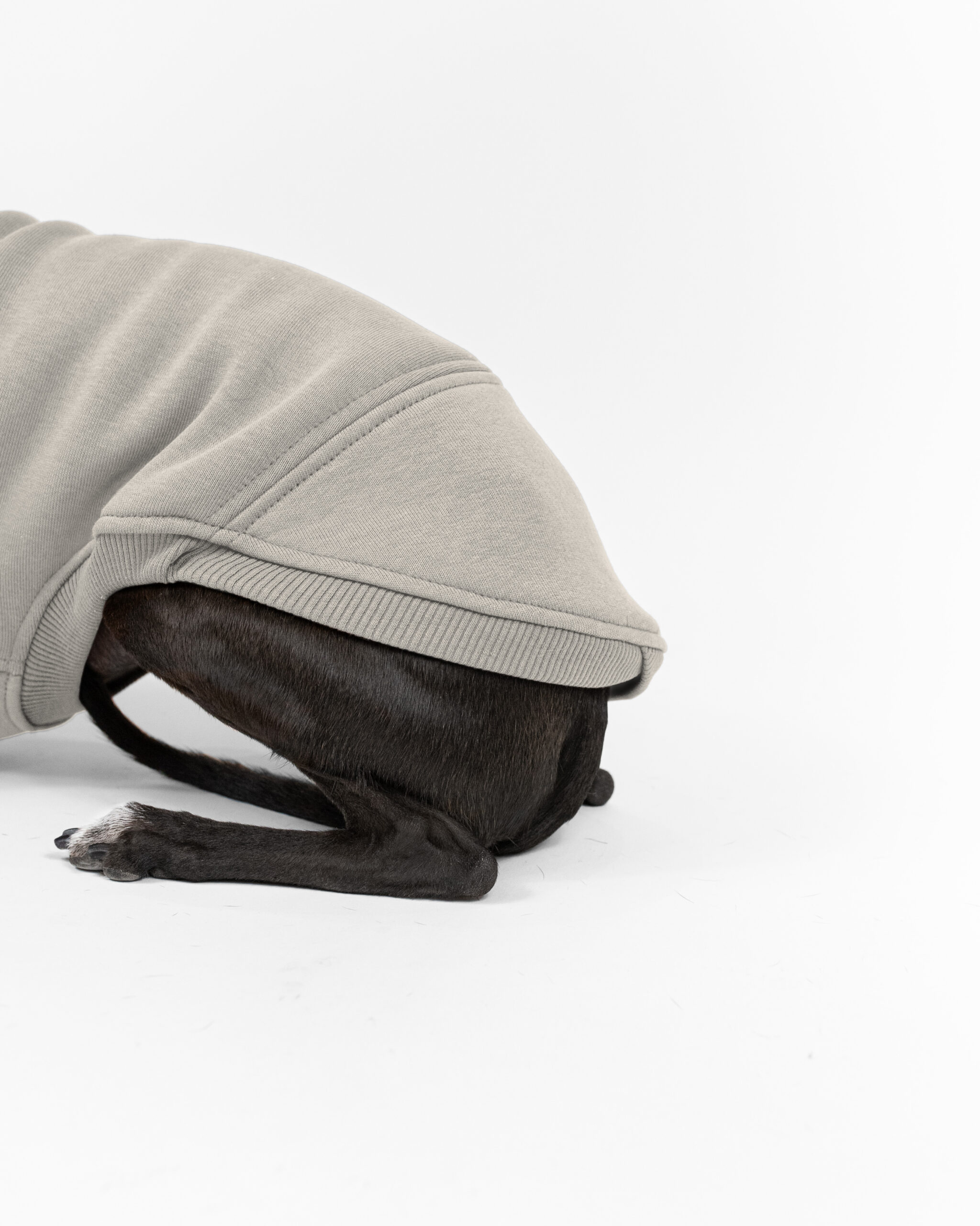 DumasGoods-italian-greyhound-clothes-core-jumper-sand-stone back part of sand stone jumper